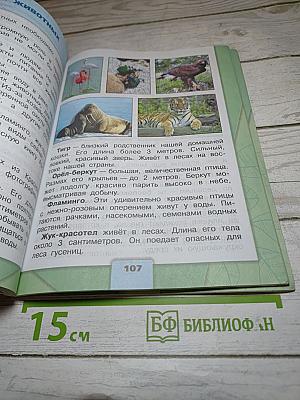 Окружающий мир 3 класс. Часть 1
