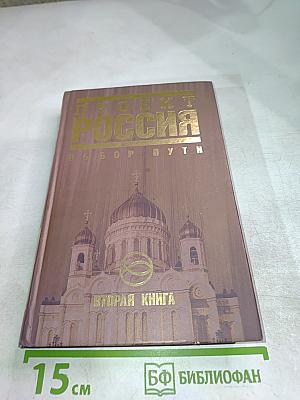 Проект Россия. Вторая книга. Выбор пути.