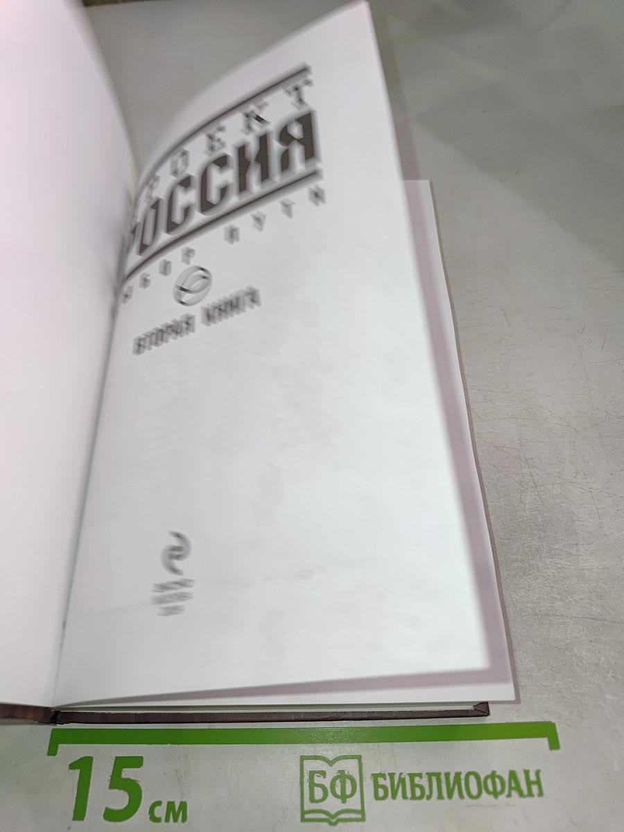 Проект Россия. Вторая книга. Выбор пути.