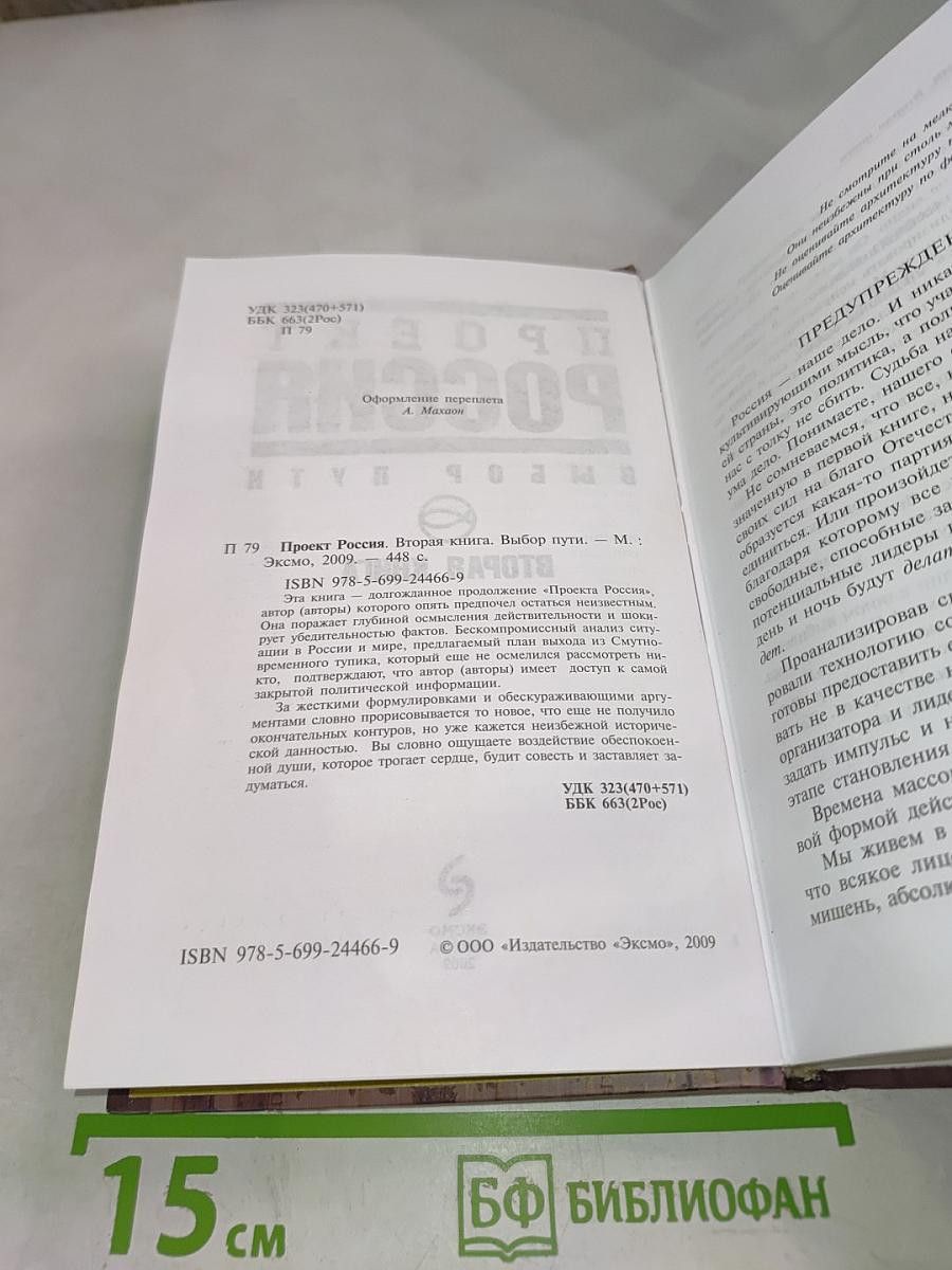 Проект Россия. Вторая книга. Выбор пути.