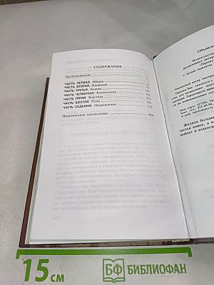 Проект Россия. Вторая книга. Выбор пути.