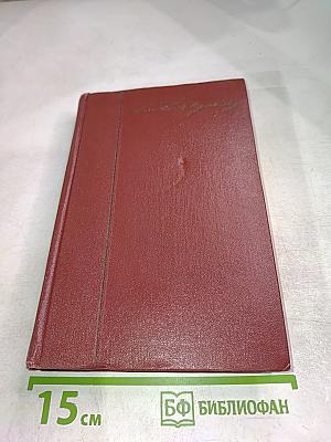 Собрание сочинений. Том восьмой. История Петра I. Записки. Городок на реке Одоевце