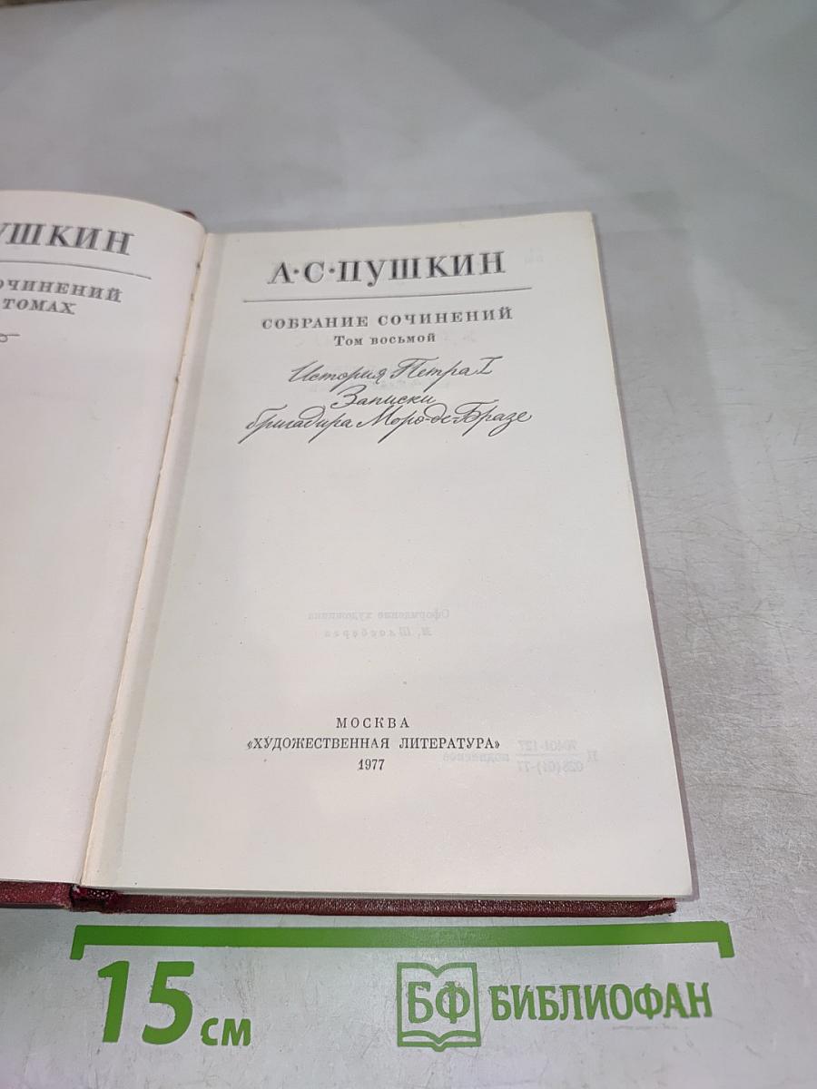 Собрание сочинений. Том восьмой. История Петра I. Записки. Городок на реке Одоевце