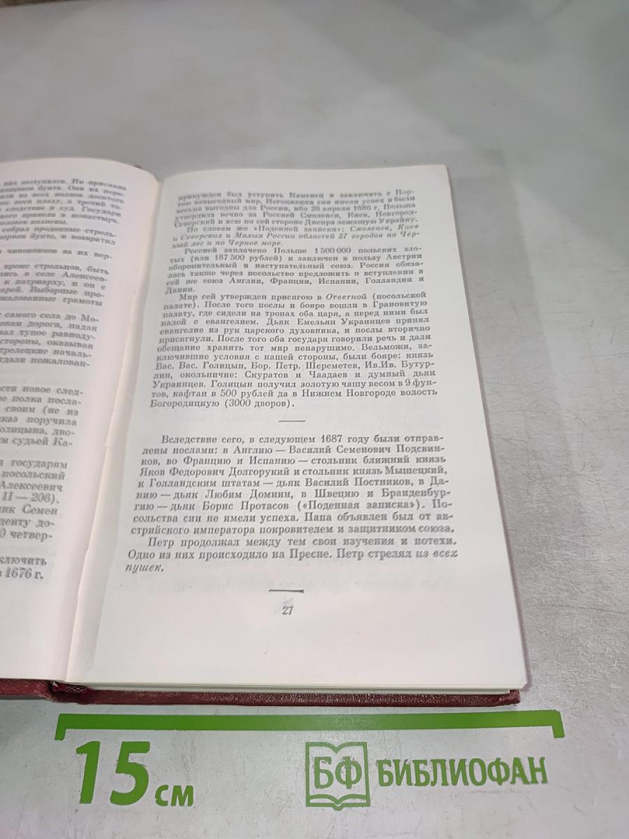 Собрание сочинений. Том восьмой. История Петра I. Записки. Городок на реке Одоевце
