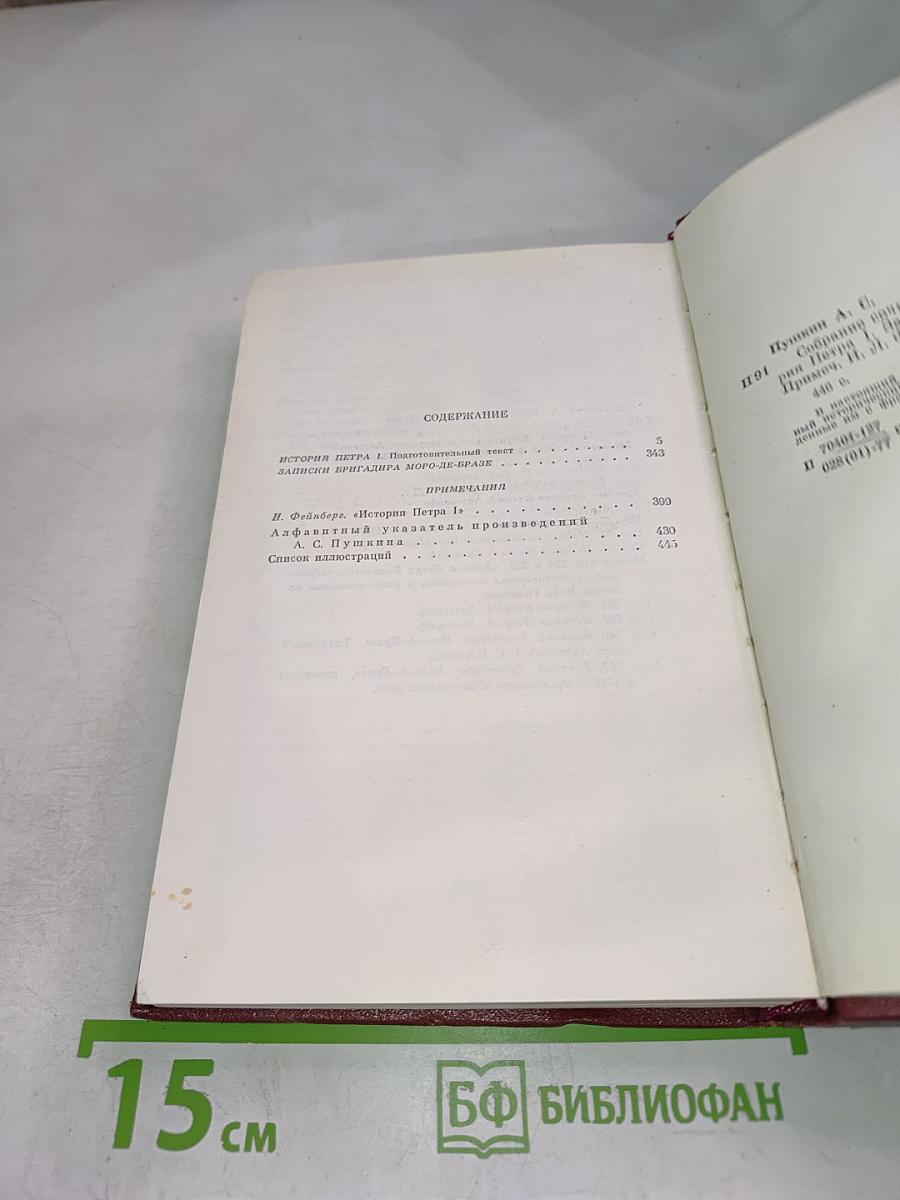 Собрание сочинений. Том восьмой. История Петра I. Записки. Городок на реке Одоевце