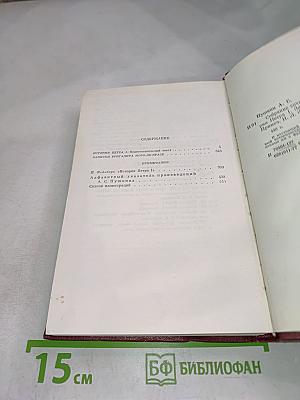 Собрание сочинений. Том восьмой. История Петра I. Записки. Городок на реке Одоевце