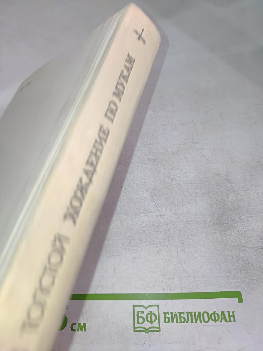 Хождение по мукам. Том первый