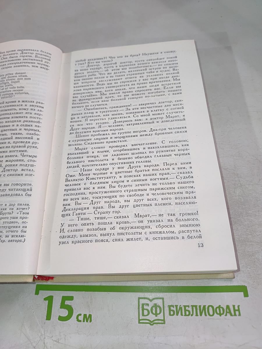 Черный консул. Повесть о братьях Тургеневых