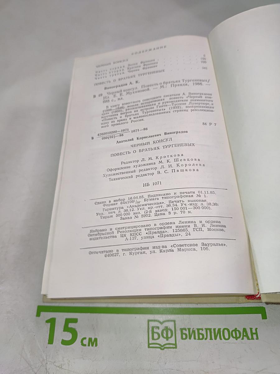 Черный консул. Повесть о братьях Тургеневых