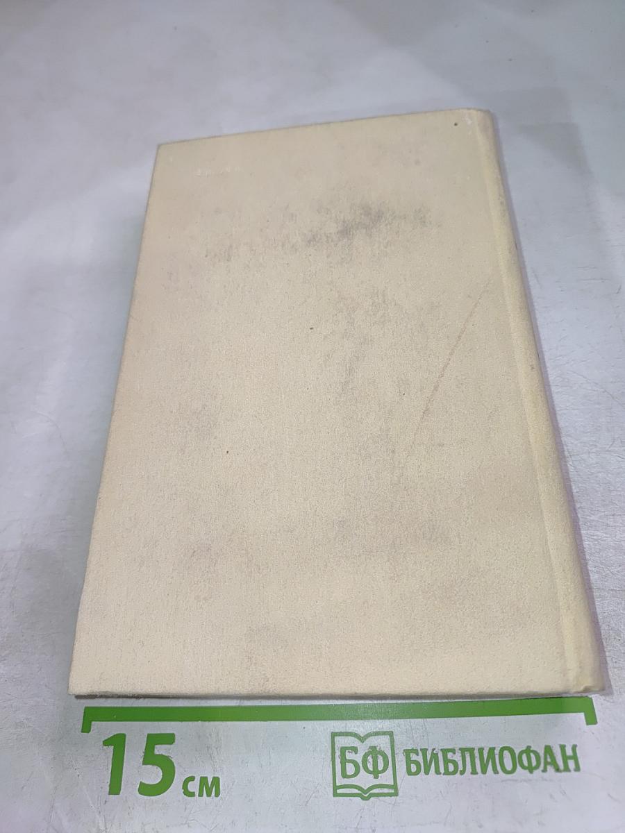 Черный консул. Повесть о братьях Тургеневых