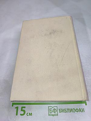 Черный консул. Повесть о братьях Тургеневых