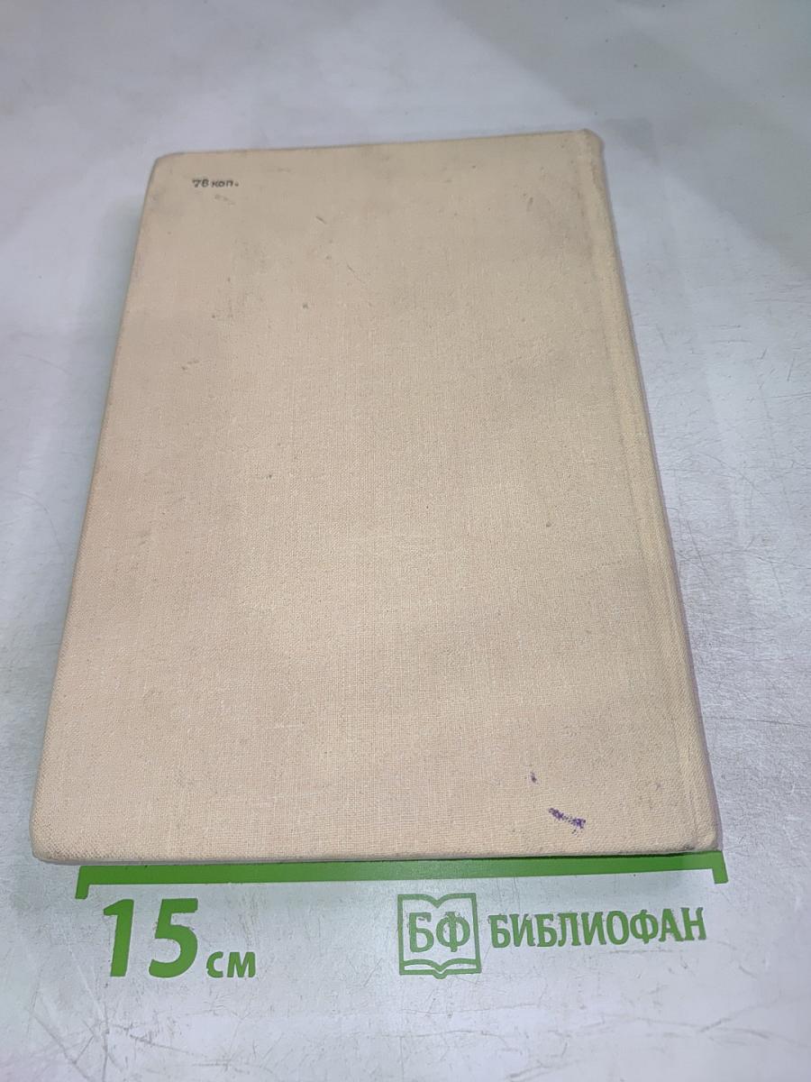 Джотто-флорентинец