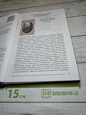 Литература. 8 класс. Часть 2