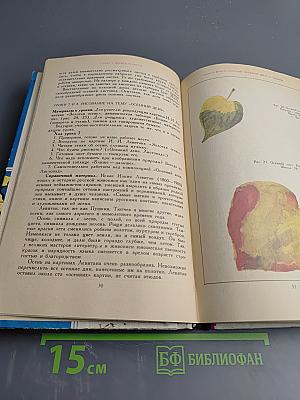 Изобразительное искусство в 1 классе: Пособие для учителей