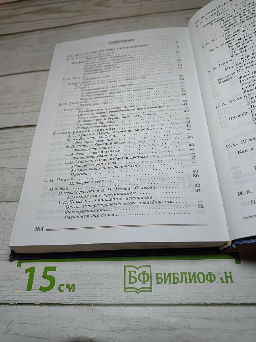 Литература. 8 класс. Часть 2