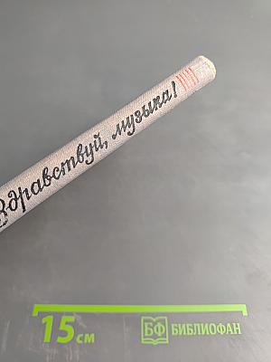 Здравствуй, музыка!