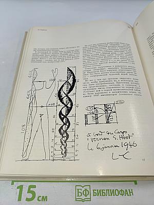 Ле Корбюзье. Архитектура XX века