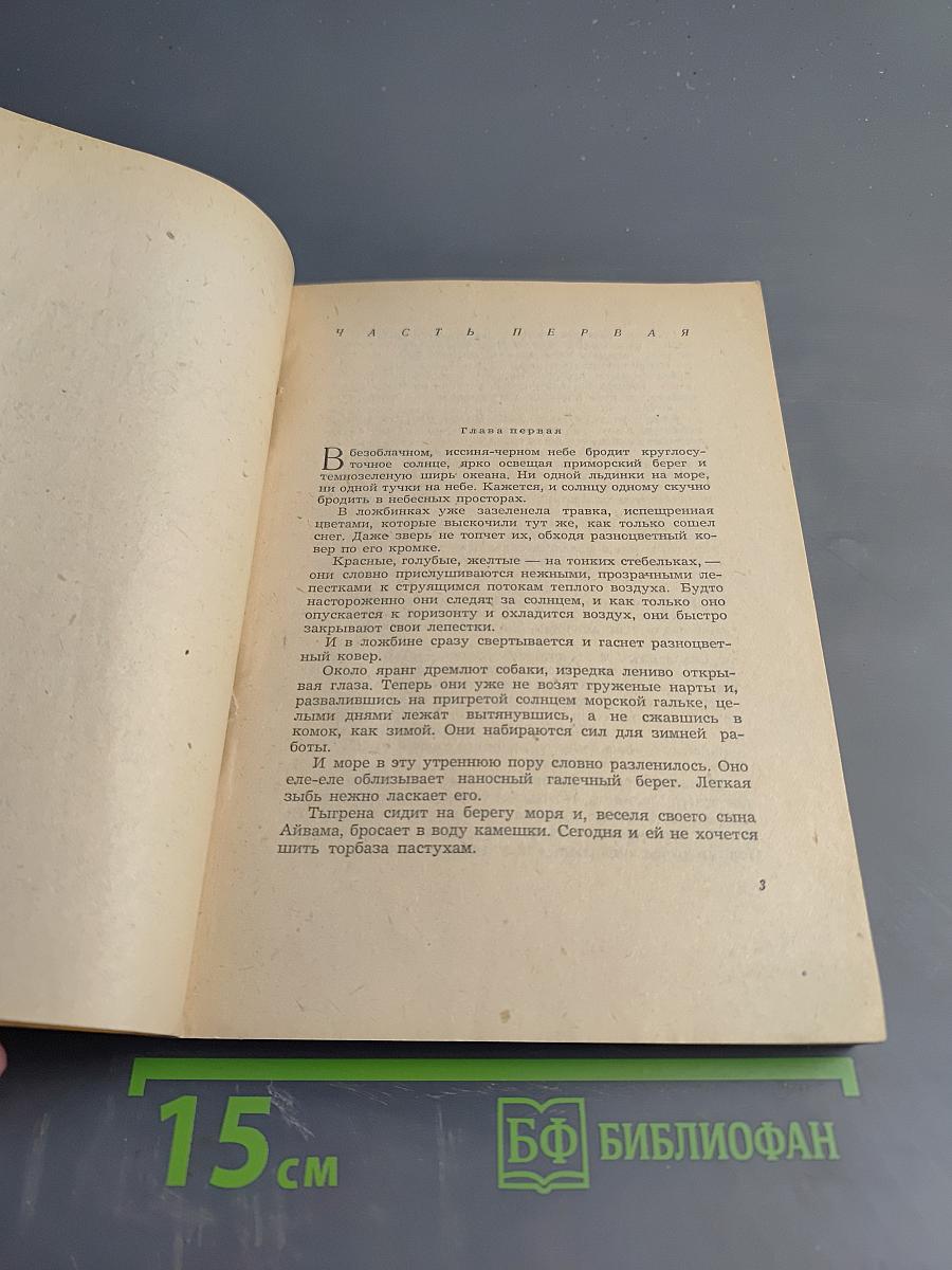 Алитет уходит в горы. Книга II