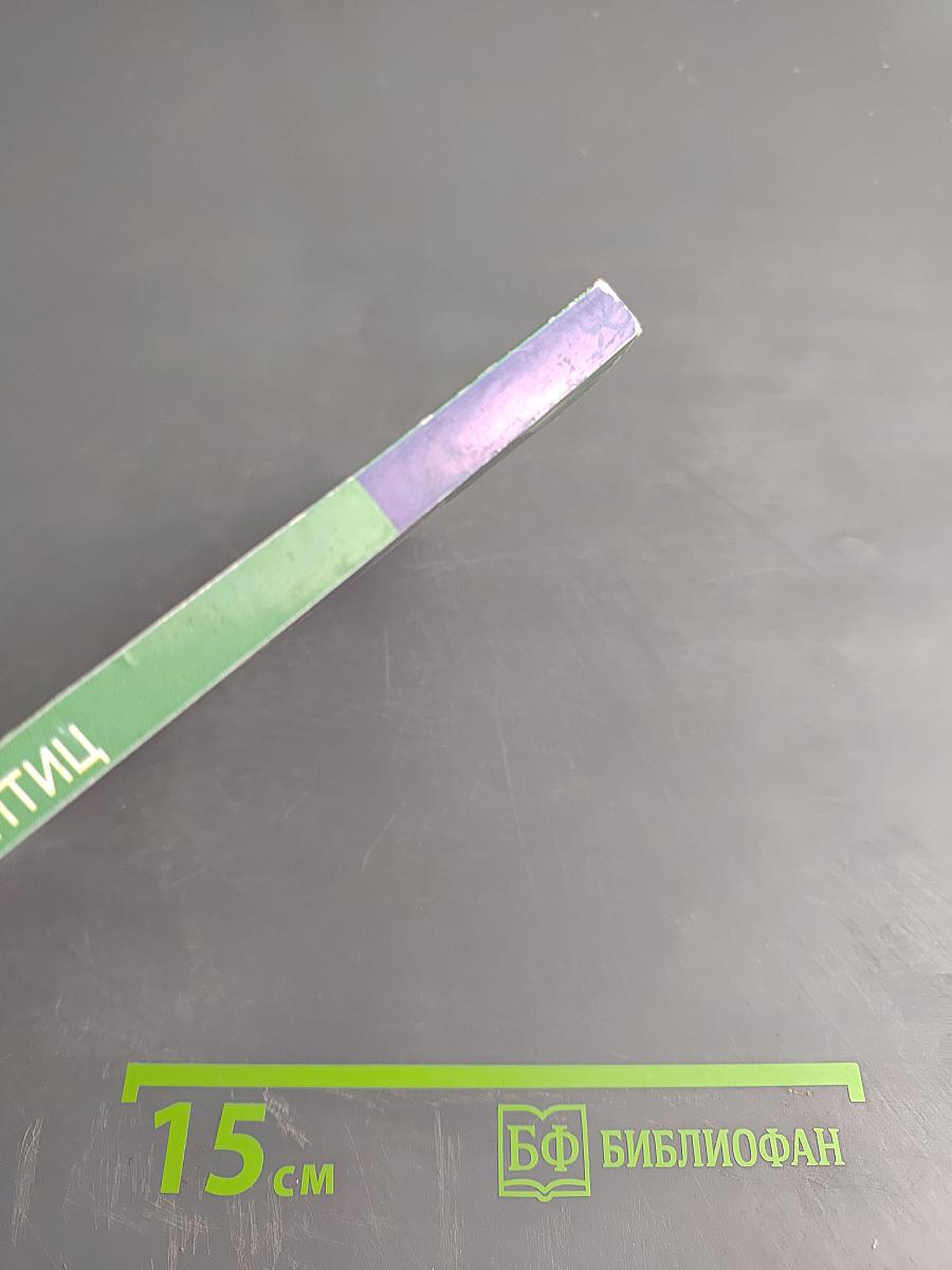 Как лечить птиц