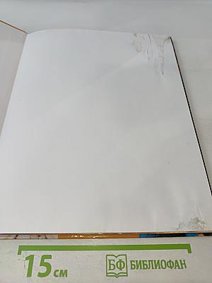 300 Новых Причесок