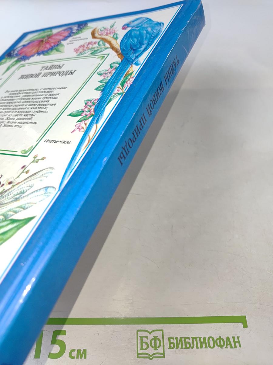 Соседи по планете