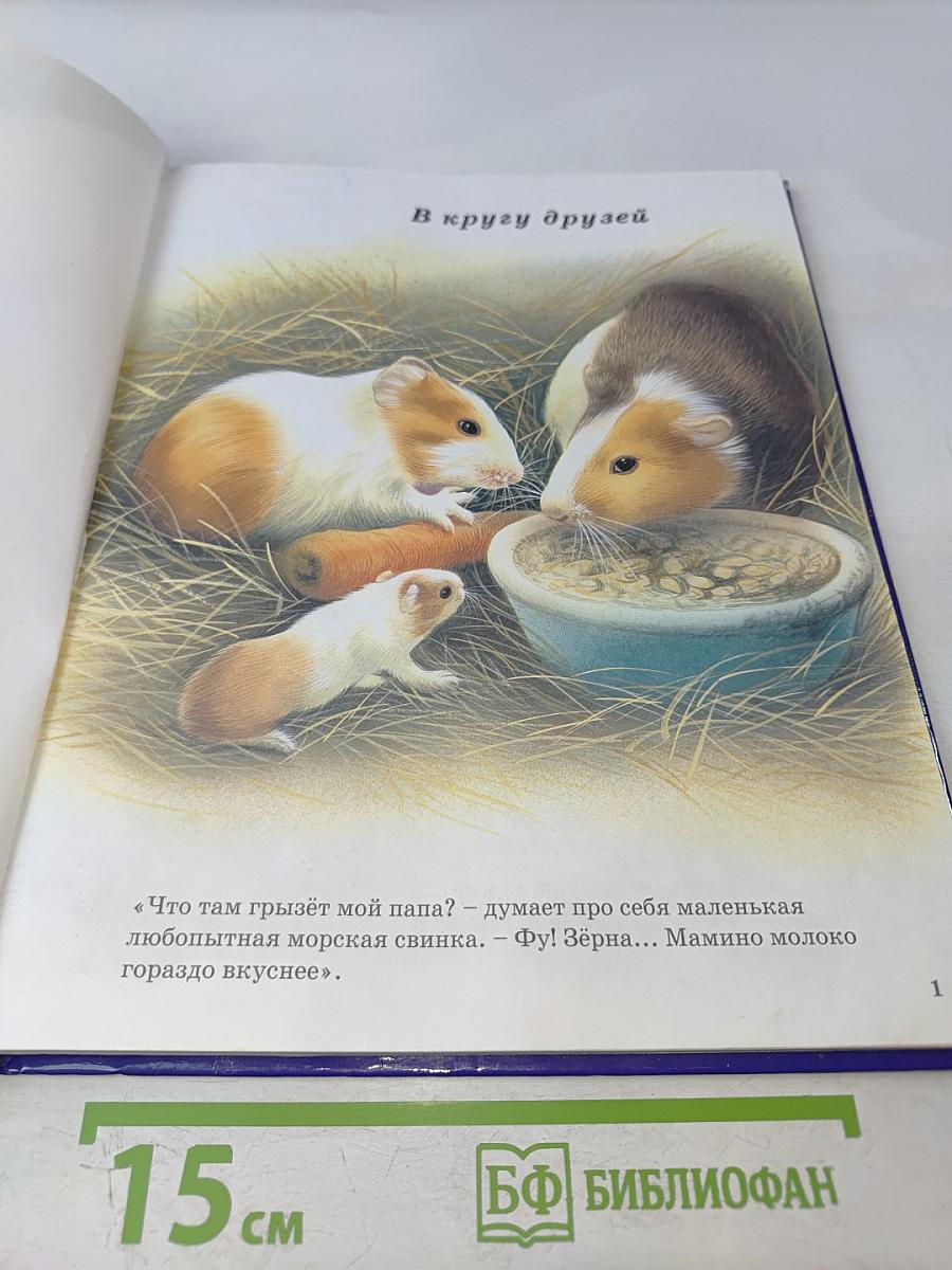 Соседи по планете