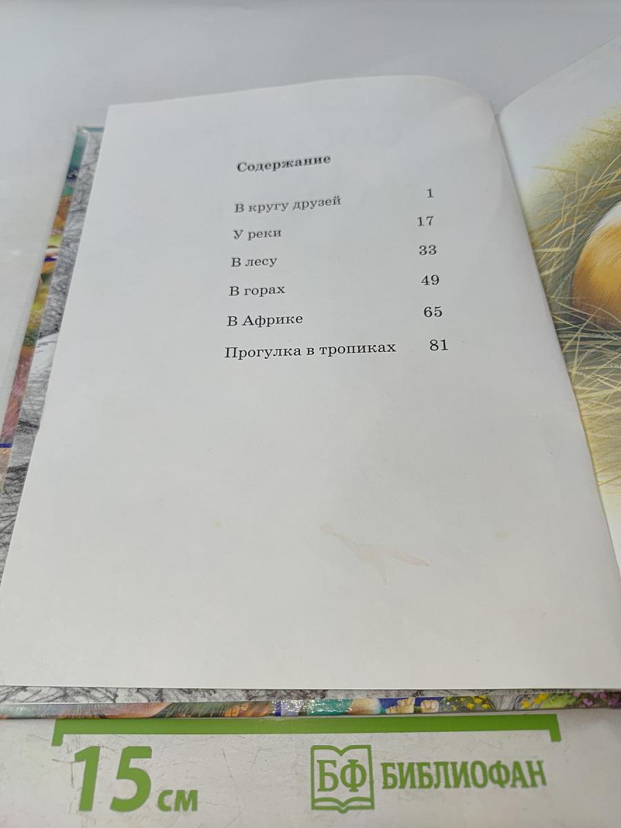 Соседи по планете