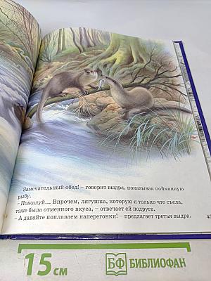 Соседи по планете