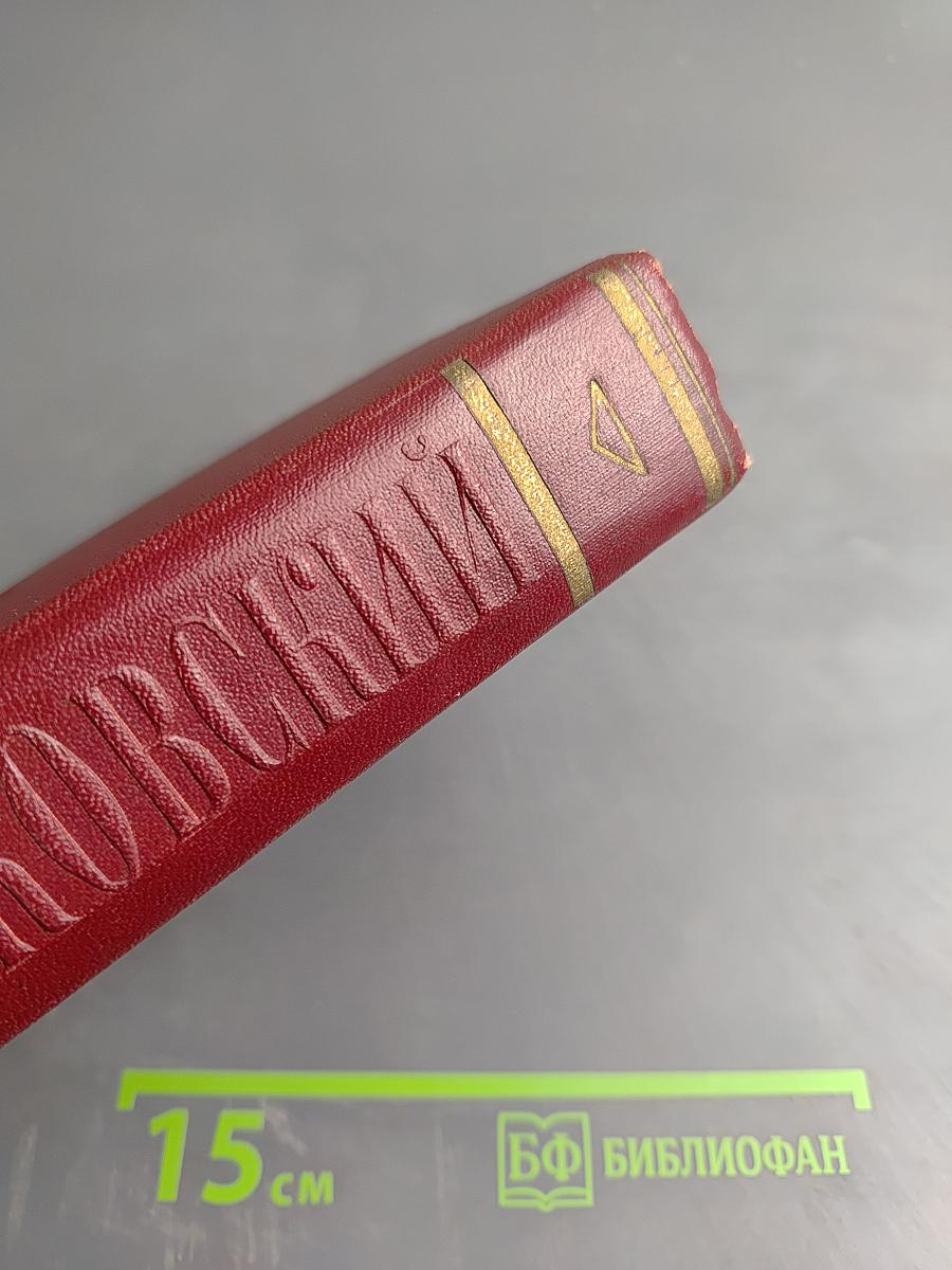 Полное собрание сочинений. Том третий. Окна РОСТА 1919-1922