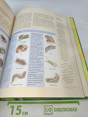 Дивный сад без особых хлопот