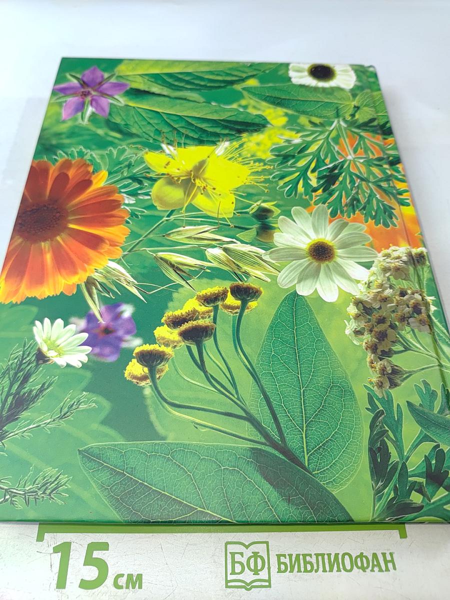 Дивный сад без особых хлопот