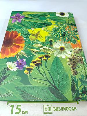 Дивный сад без особых хлопот