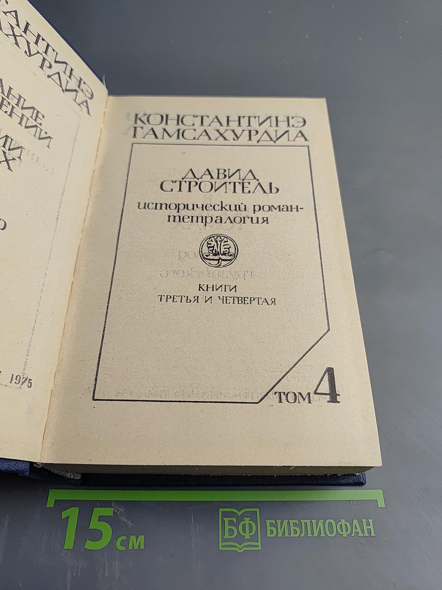 Давид Строитель. Книги третья и четвертая. Том 4