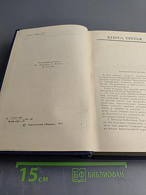 Давид Строитель. Книги третья и четвертая. Том 4