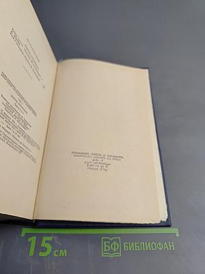 Давид Строитель. Книги третья и четвертая. Том 4