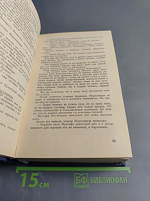 Давид Строитель. Книги третья и четвертая. Том 4
