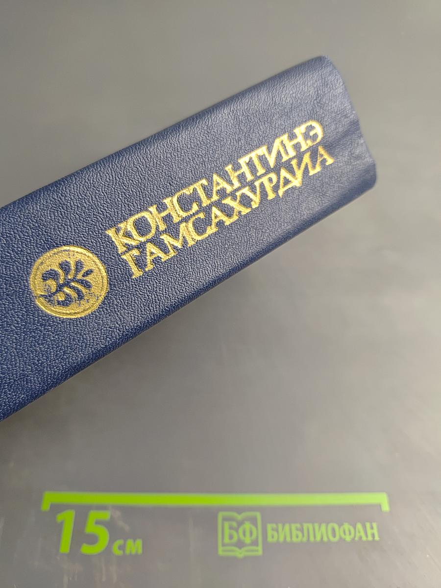 Давид Строитель. Книги третья и четвертая. Том 4