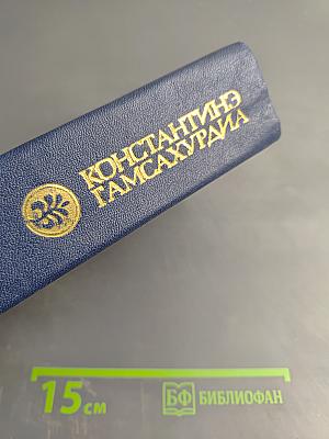 Давид Строитель. Книги третья и четвертая. Том 4