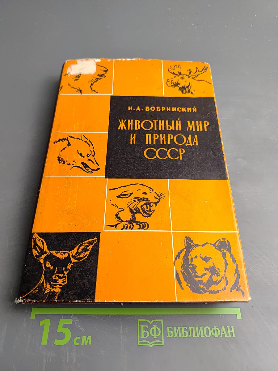 Животный мир и природа СССР