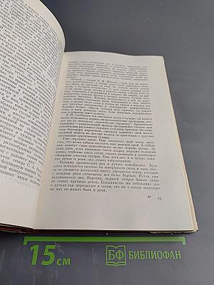 Животный мир и природа СССР