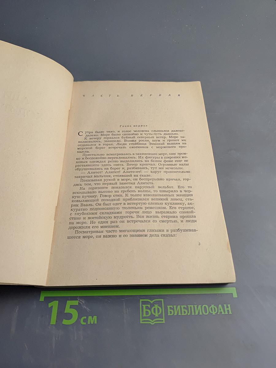 Алитет уходит в горы