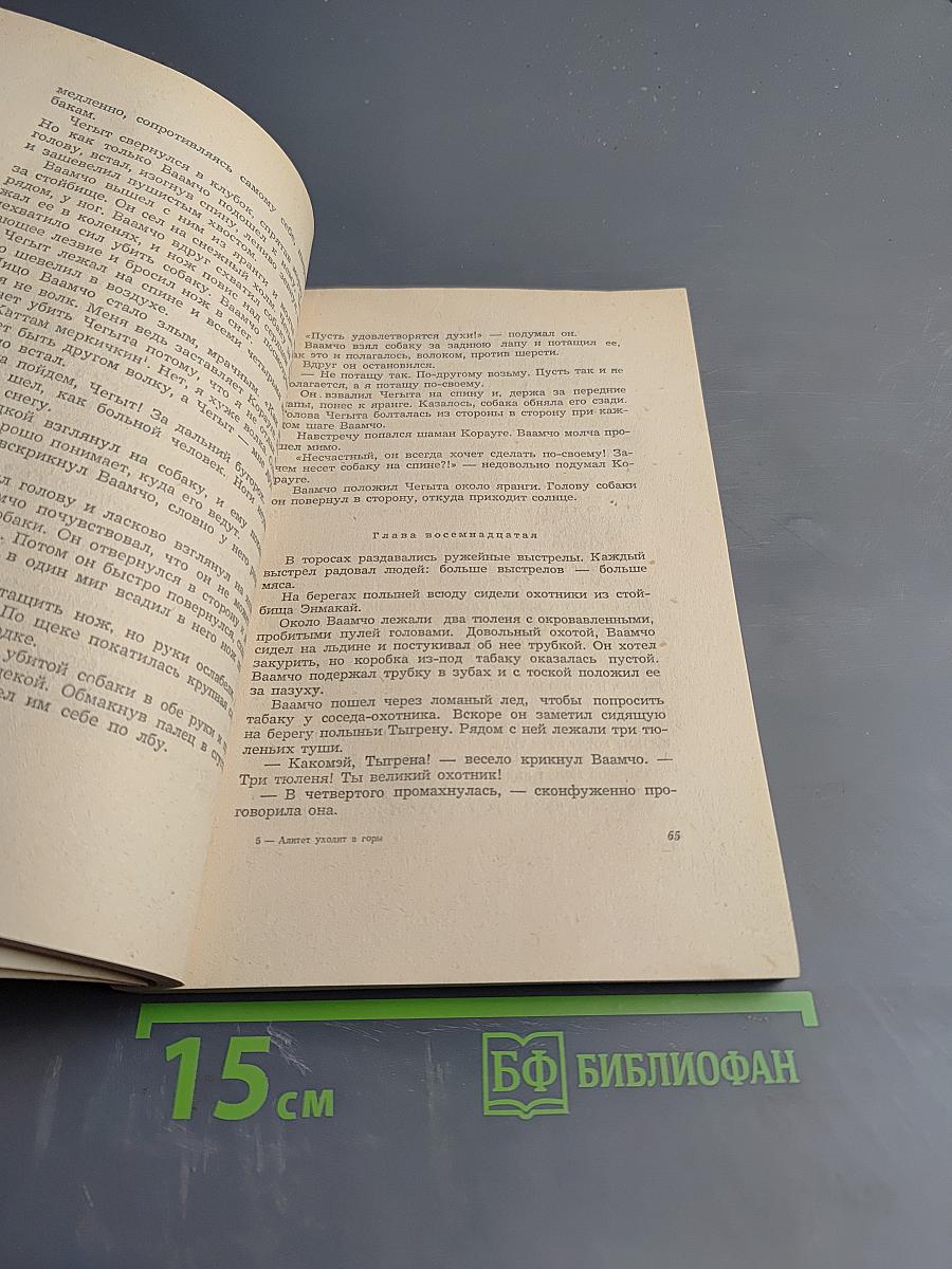 Алитет уходит в горы