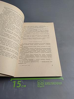 Алитет уходит в горы