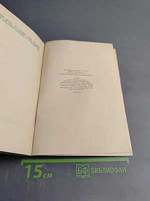 Алитет уходит в горы