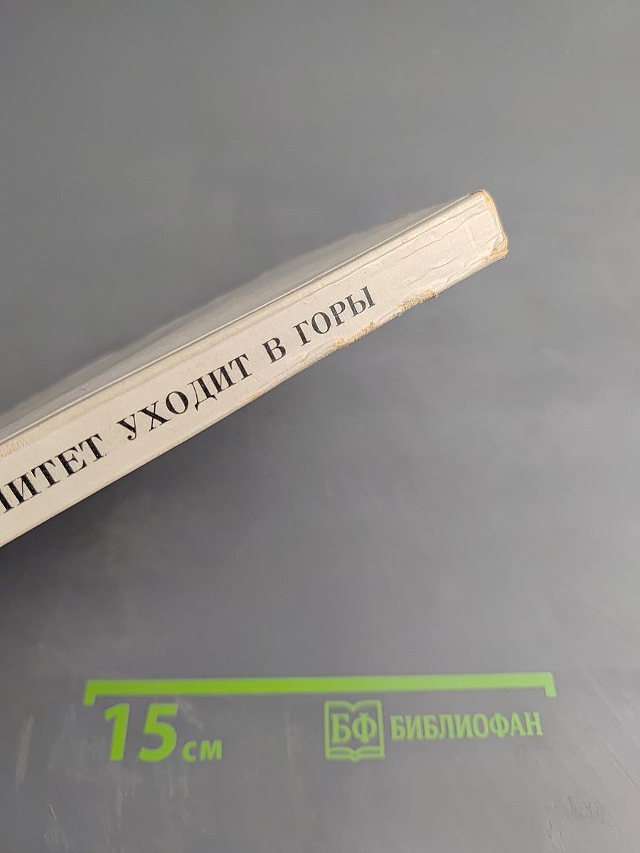 Алитет уходит в горы