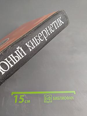 Юный кибернетик