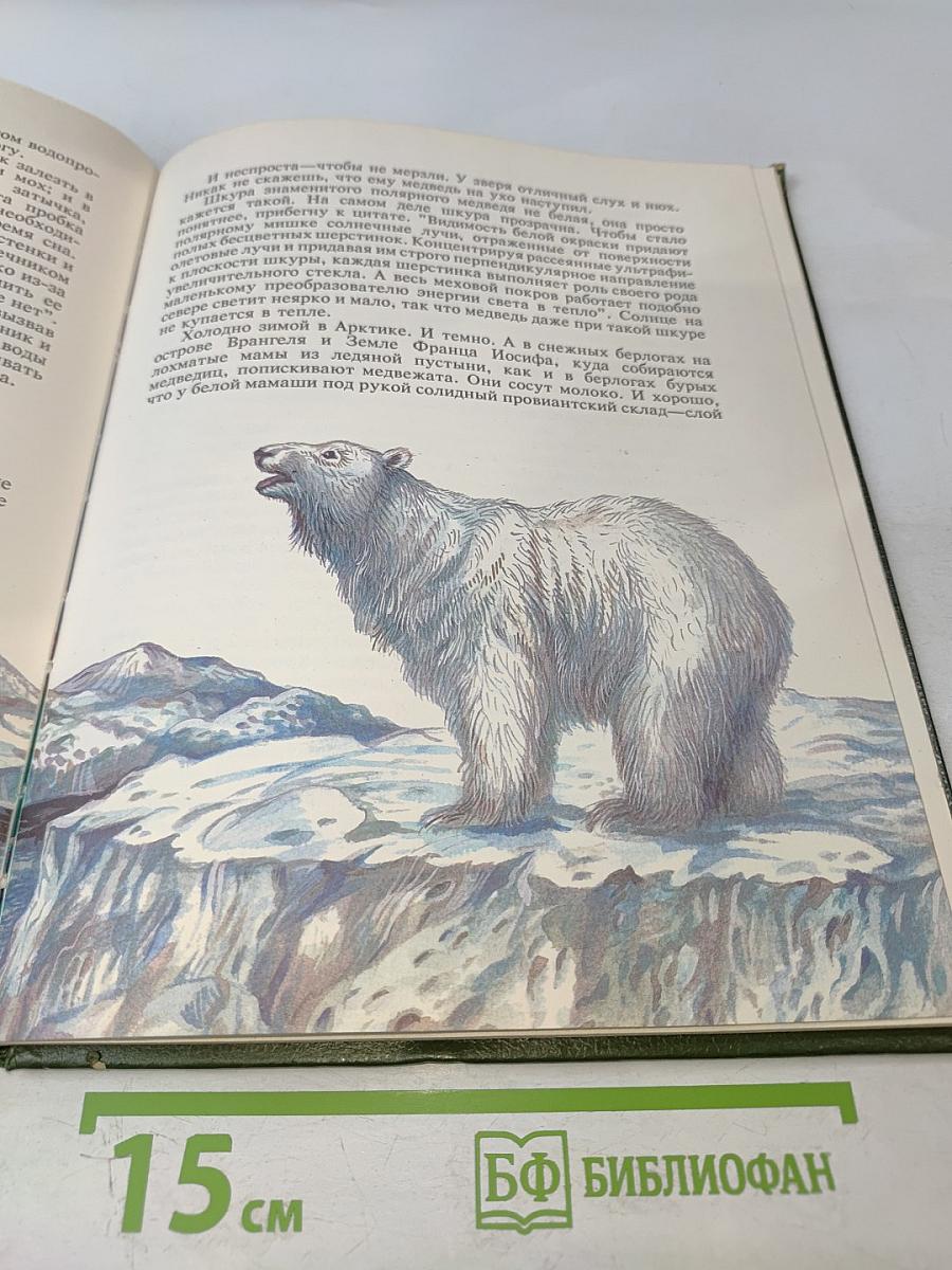 Замечательные звери