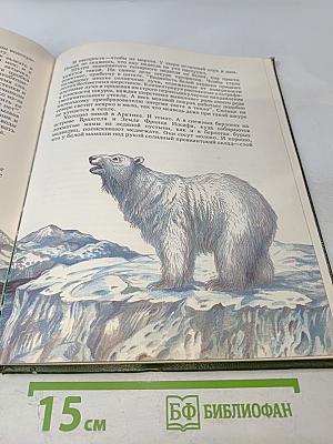 Замечательные звери