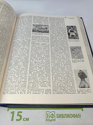 Украинская Советская Энциклопедия. Том 9: Проект - Семеновка