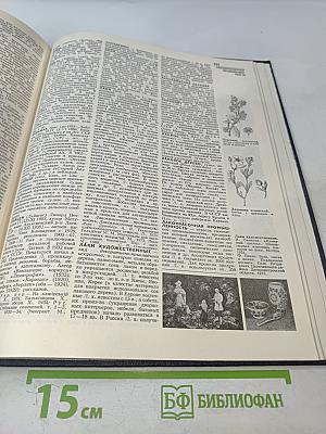 Украинская Советская Энциклопедия. Том 5. Кетокислоты - Лахор